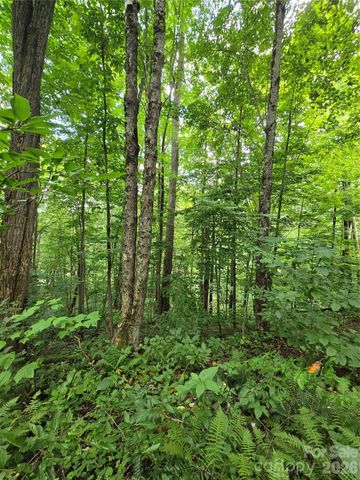 108 Tenderfoot Trail 108 & 109, Maggie Valley, NC 28751