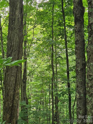 108 Tenderfoot Trail 108 & 109, Maggie Valley, NC 28751