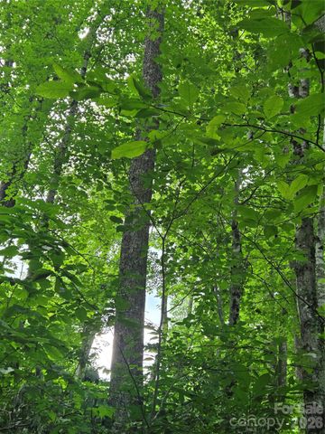 108 Tenderfoot Trail 108 & 109, Maggie Valley, NC 28751