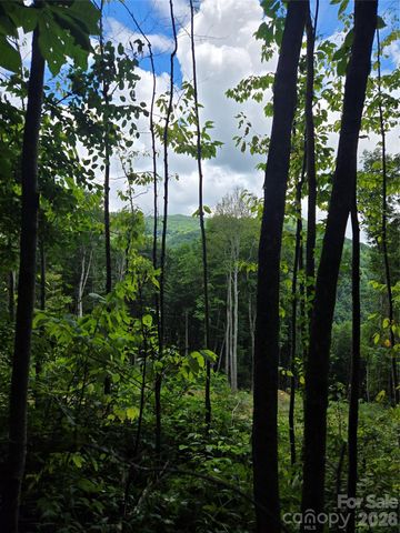 108 Tenderfoot Trail 108 & 109, Maggie Valley, NC 28751
