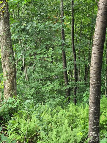 108 Tenderfoot Trail 108 & 109, Maggie Valley, NC 28751