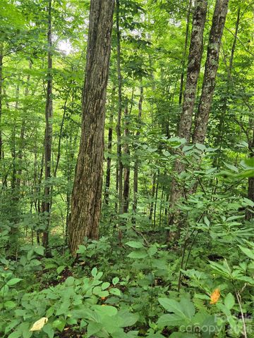 108 Tenderfoot Trail 108 & 109, Maggie Valley, NC 28751