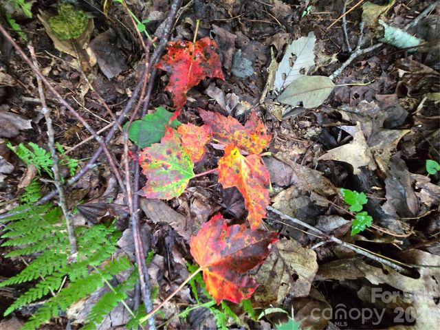 108 Tenderfoot Trail 108 & 109, Maggie Valley, NC 28751