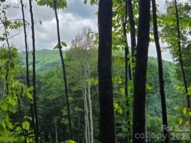 108 Tenderfoot Trail 108 & 109, Maggie Valley, NC 28751