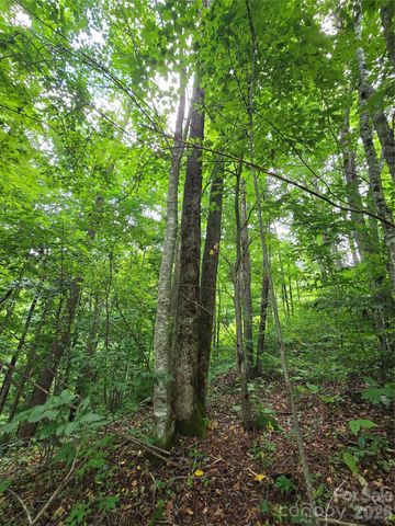 108 Tenderfoot Trail 108 & 109, Maggie Valley, NC 28751