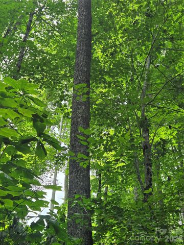 108 Tenderfoot Trail 108 & 109, Maggie Valley, NC 28751