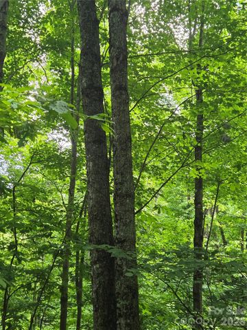 108 Tenderfoot Trail 108 & 109, Maggie Valley, NC 28751