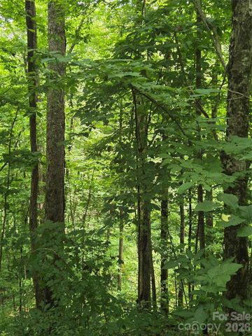 108 Tenderfoot Trail 108 & 109, Maggie Valley, NC 28751
