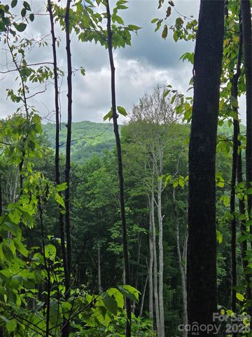 108 Tenderfoot Trail 108 & 109, Maggie Valley, NC 28751
