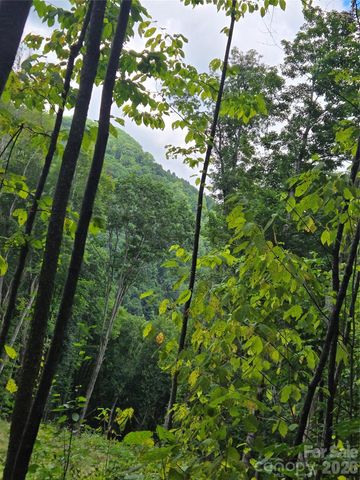 108 Tenderfoot Trail 108 & 109, Maggie Valley, NC 28751