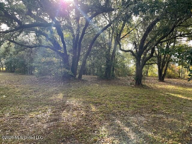 Turner Street, Bay Saint Louis, MS 39520
