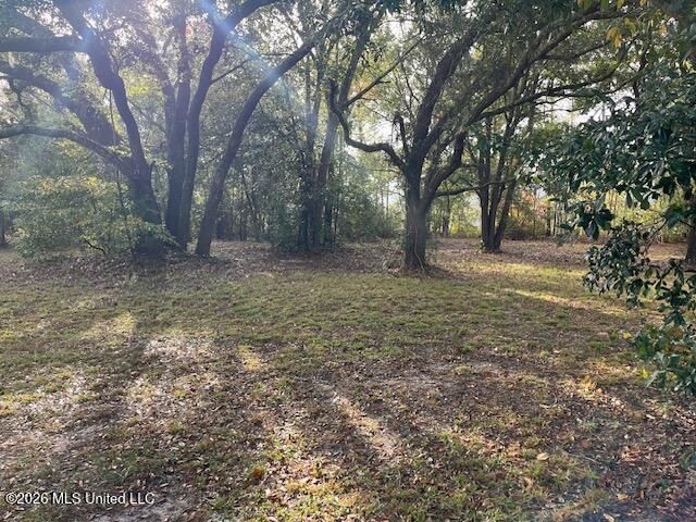 Turner Street, Bay Saint Louis, MS 39520