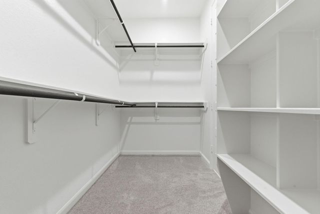 9018 Moose Trail, Manvel, TX 77578