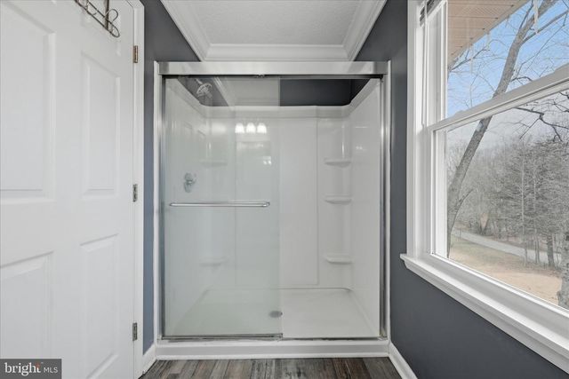 911 WALNUT DR, Fredericksburg, VA 22405