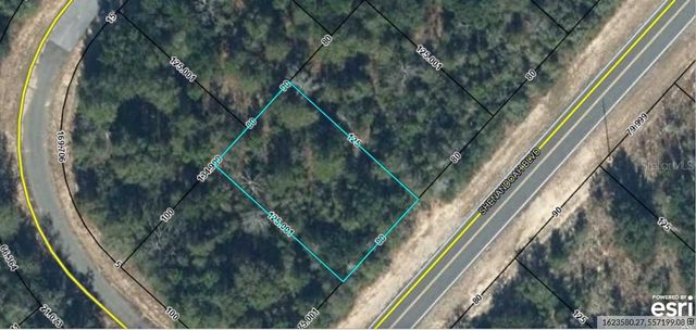 Lot 10 Unit 2 Blk 257 SHENANDOAH BOULEVARD, Chipley, FL 32428