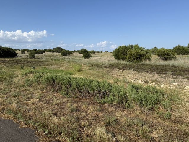 706 Rory Crossing, Lipan, TX 76462