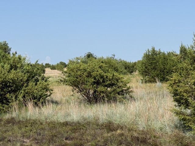 706 Rory Crossing, Lipan, TX 76462