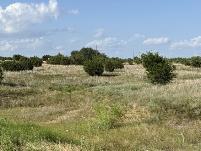 706 Rory Crossing, Lipan, TX 76462