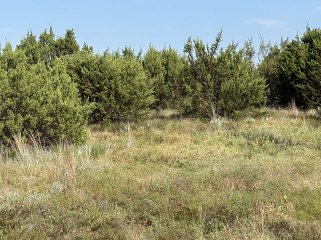 706 Rory Crossing, Lipan, TX 76462