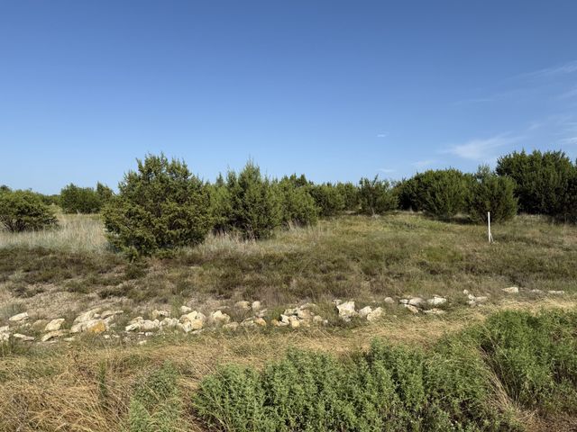 706 Rory Crossing, Lipan, TX 76462