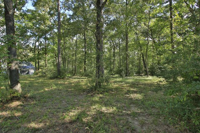 1547 Ruby Drive, Willis, TX 77378