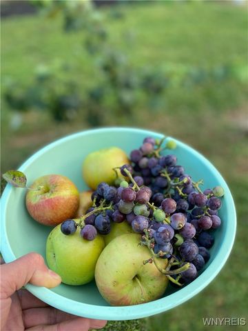 6903 Jewett Holmwood Road, Orchard Park, NY 14127