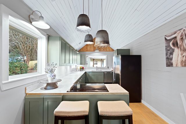 8679 Lakewood Hwy, Mineral Bluff, GA 30559