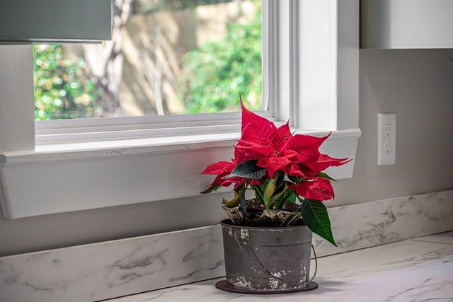 8679 Lakewood Hwy, Mineral Bluff, GA 30559