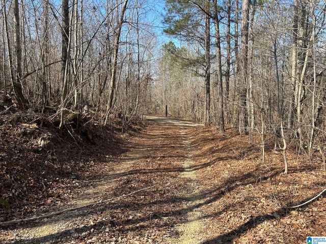 203 POPE ROAD, Ohatchee, AL 36271