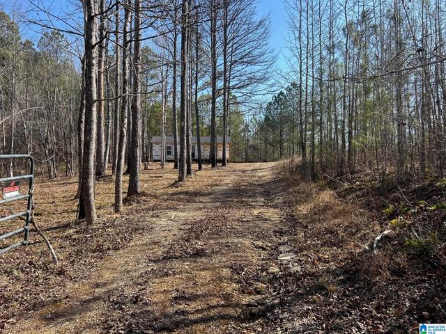 203 POPE ROAD, Ohatchee, AL 36271