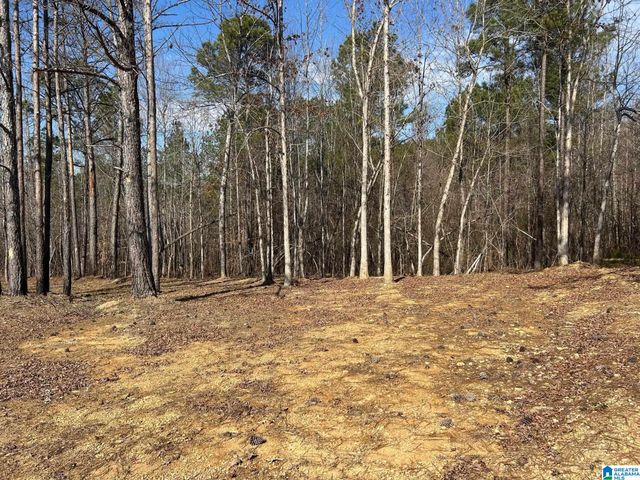 203 POPE ROAD, Ohatchee, AL 36271