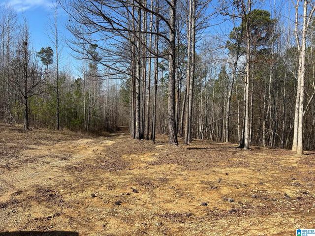 203 POPE ROAD, Ohatchee, AL 36271