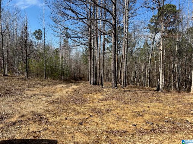 203 POPE ROAD, Ohatchee, AL 36271