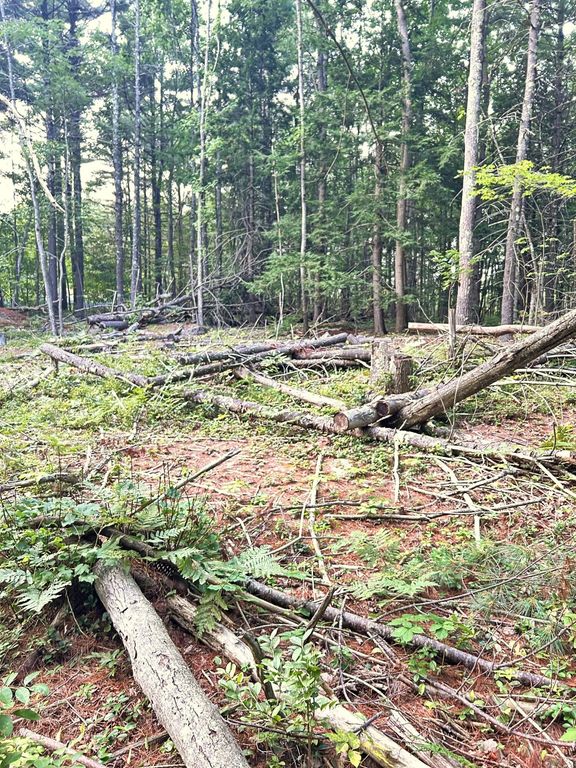 0 BlackBerry Lane, Biddeford, ME 04005 — photo 2