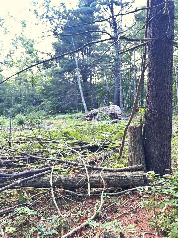0 BlackBerry Lane, Biddeford, ME 04005 — photo 3