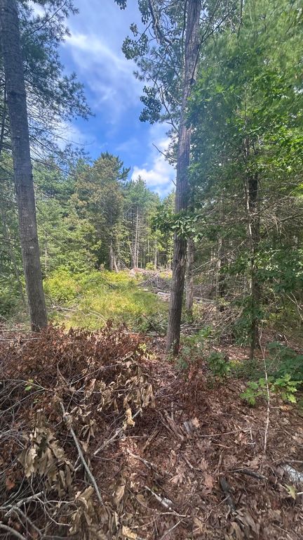 0 BlackBerry Lane, Biddeford, ME 04005 — photo 4