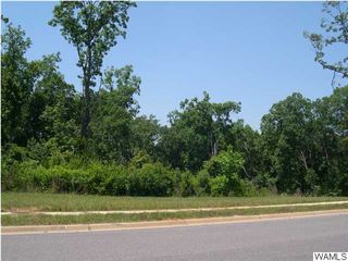 1720 LAKE HAVEN 24, Tuscaloosa, AL 35406