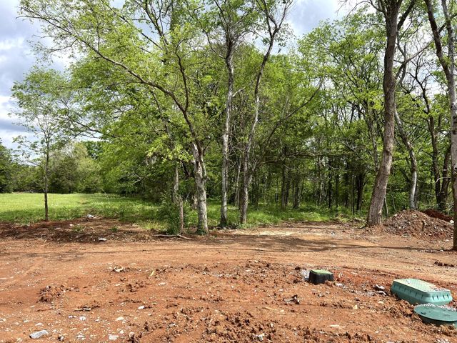 7401 Don Bruce Ct, Christiana, TN 37037