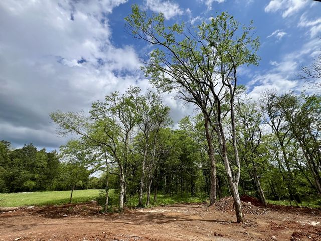 7401 Don Bruce Ct, Christiana, TN 37037