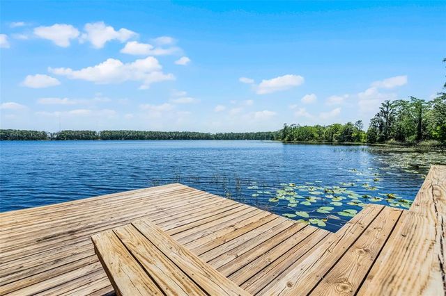 16692 LAKE PICKETT ROAD, Orlando, FL 32820