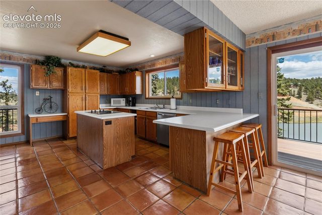 1506 Lake Place, Divide, CO 80814