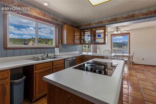 1506 Lake Place, Divide, CO 80814