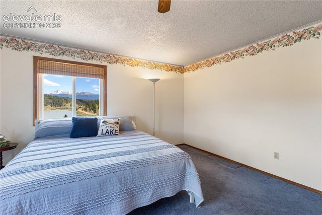 1506 Lake Place, Divide, CO 80814