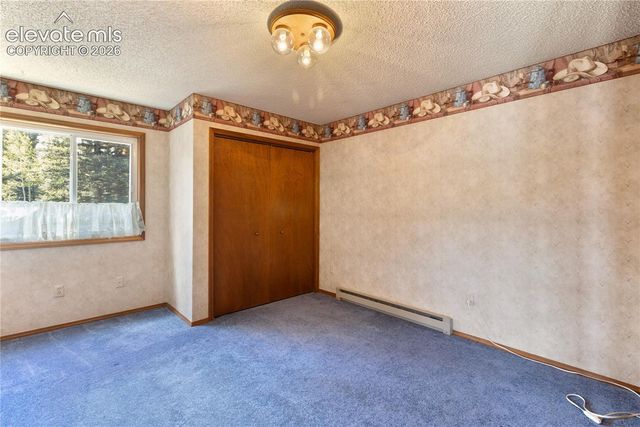 1506 Lake Place, Divide, CO 80814
