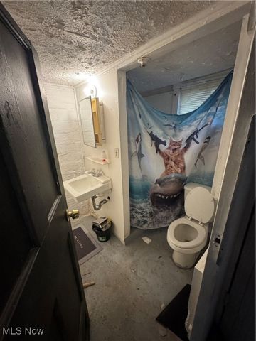 13322 Eaglesmere Avenue, Cleveland, OH 44110