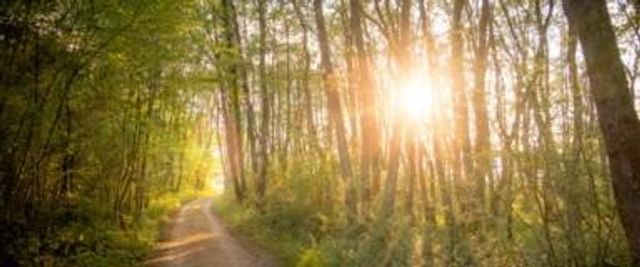 2039 Forest Stream Way, Conroe, TX 77304