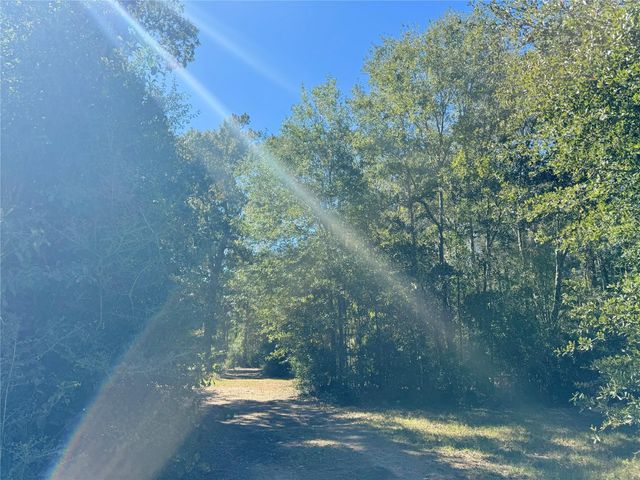 9572 State Highway 146 S, Livingston, TX 77351