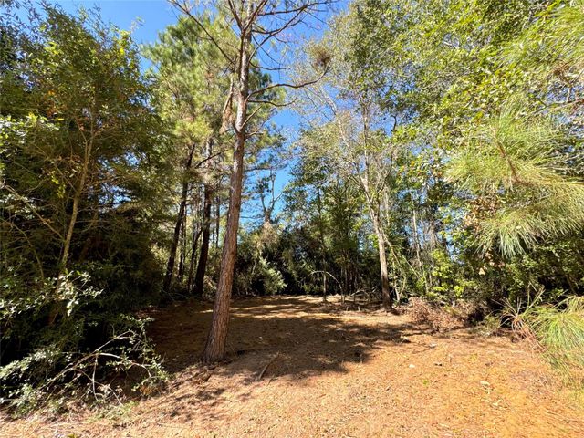 9572 State Highway 146 S, Livingston, TX 77351