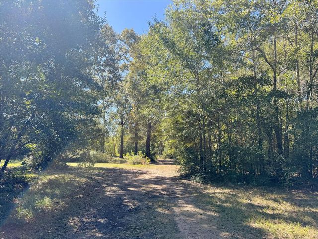 9572 State Highway 146 S, Livingston, TX 77351