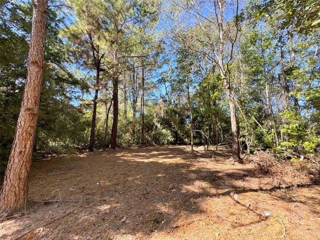 9572 State Highway 146 S, Livingston, TX 77351